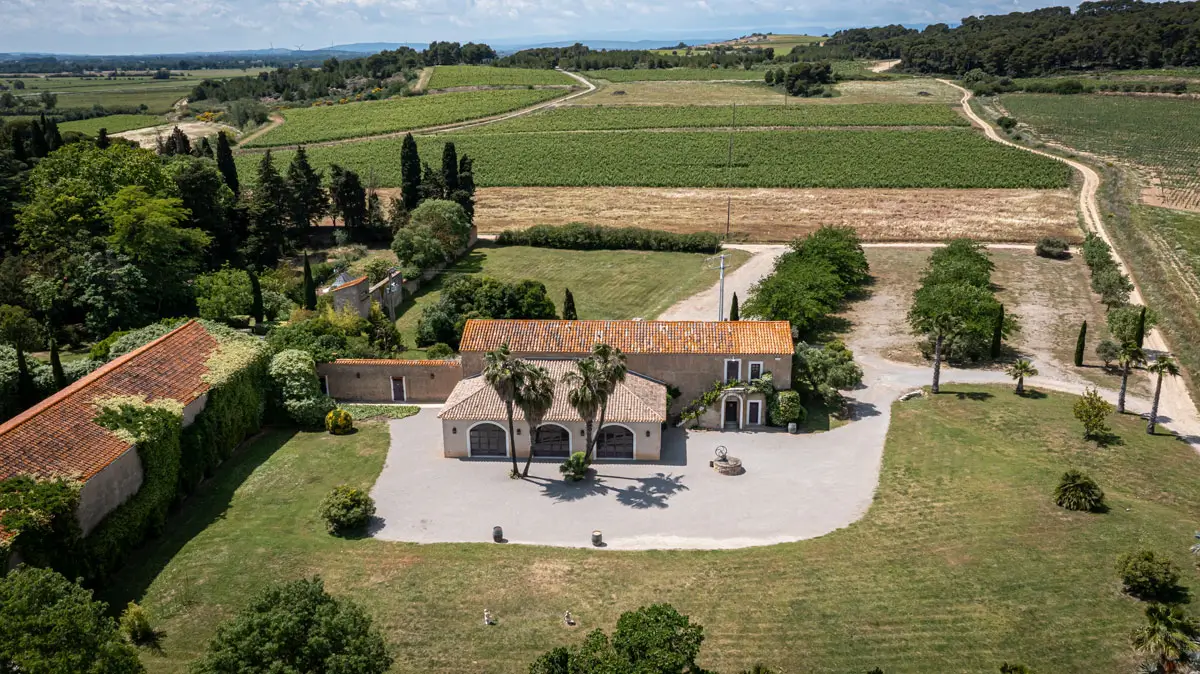 Vue aérienne de la Bergerie de la Vernède, de ses palmiers et de sa cour